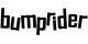 Bumprider Коляски Bumprider