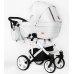 Детская коляска RAY Eterno Ecco 2 в 1 Детская коляска RAY Eterno Ecco 2 в 1