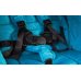 Детская коляска Bumbleride Indie Carrycot (2 в 1)